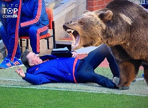 太逗！范加尔找裁判投诉 亲自倒地示范-直播吧zhibo8.c…