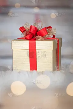 垂直画幅,贺卡,留白,边框,圣诞卡,无人,蝴蝶结,生日,圣诞礼物