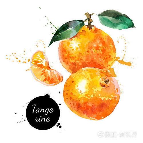 桔子插画_百度图片搜索