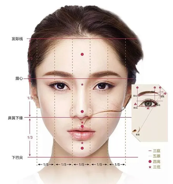 “三庭五眼”“四高三低”……你距离美学标准还有多远？_五官 : 在面部轮廓的框架结构上，符合“三庭五眼”，而正中垂直轴上又有“四高三低”，横轴 ...