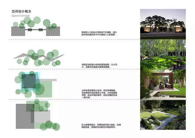 植物设计分析图