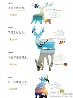 沧笙醉梦采集到元素