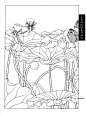工笔画线描花卉画谱(荷花篇)