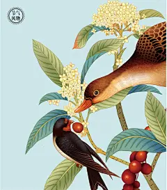 300天，380张插画，这本日历让2017年的每一天都不重样！这是一本中国式的百科全书，一本中国人的生活指南，它恰到好处的连接起传统文化与当下生活方式，既古又而鲜活，既文艺又朴实，既暖胃又暖心，是一本超颜值、超内涵，超级会过日子的日历。