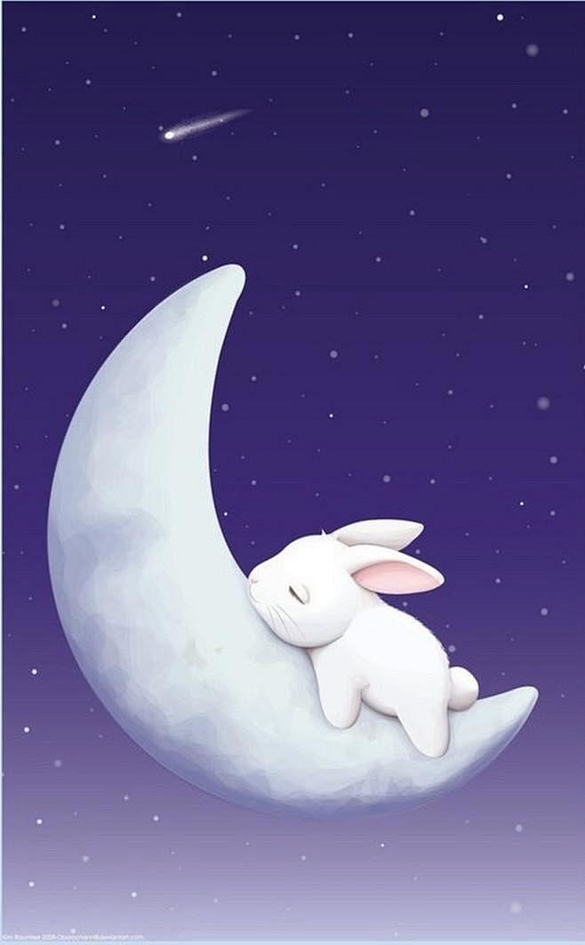 兔子 月兔 月亮 夜晚 安静 流星 