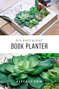 Picture of Succulent Book Planter