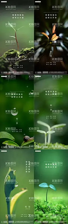 惊蛰节气系列海报  - 源文件下载【酷图网】海报,房地产,二十四节气,惊蛰,系列,树苗,