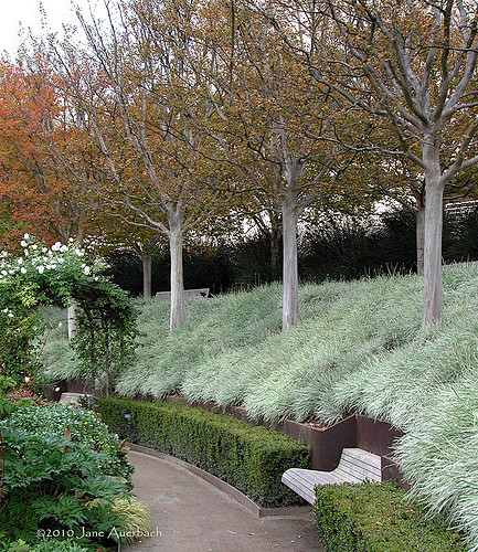 景观绿篱植物设计图集丨绿墙模纹花坛/法式...