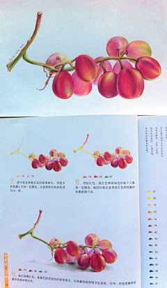 梦见风采集到彩铅