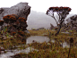 Life on the Moon : Top of Mount Roraima 