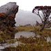 Life on the Moon : Top of Mount Roraima 