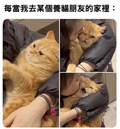梦不怎么娇采集到审 美 积 累