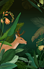 花型 丛林 动物 植物 热带丛林插图 热带植物插图