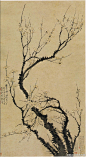 汪士慎〈精选国画微展〉（1686-约176 2），清代书画家、篆刻家。字近人，安徽歙县人，流寓江苏扬州。精篆刻、隶书，擅画花卉，尤擅画梅，笔墨疏落清劲，气清而神腴，墨淡而趣足，具有秀润恬静之致，与李方膺“铁干铜皮”形成鲜明对比。与金农、华品山等友善，为扬州八怪之一。