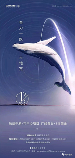ice`dew采集到主体物