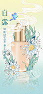 【南门网】海报 二十四节气 白露 新中式 护肤品 祥云 插画
