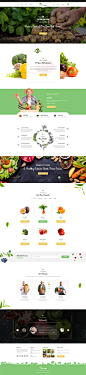 Rotterdam - Agri & Farming PSD Template