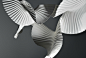 【知识星球：地产重案】@上山打草 ⇦点击查看

Experimental pleat (Bird in Flight) : Created using hand-pleated, wet folded paper.   www.richardsweeney.co.uk