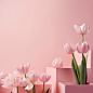 BettyParker_This_is_a_simple_display_background_a_clean_pink_ba_9f0984ae-829c-44ba-b058-28c85eb62333