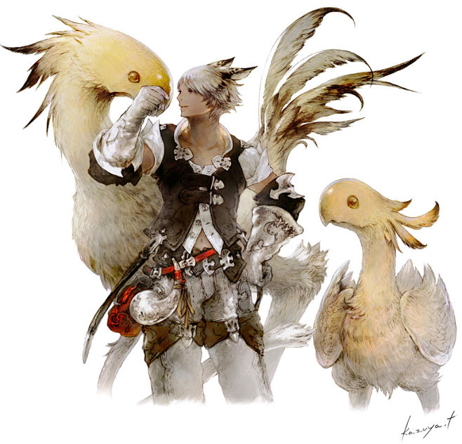 Chocobo & Miqo'te Ma...