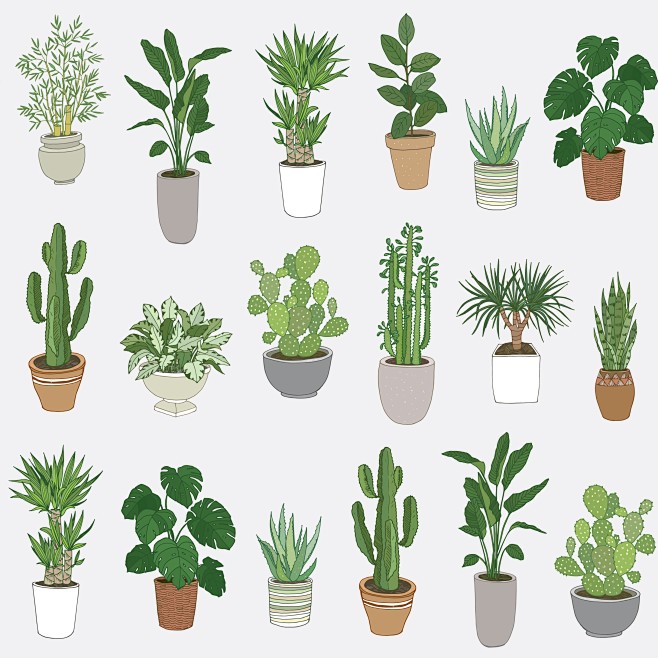 36种植物插画矢量素材下载 EPS - ...