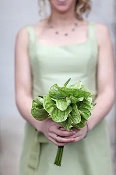一个别致、独特、创意的彩虹婚礼 - 一个别致、独特、创意的彩虹婚礼婚纱照欣赏