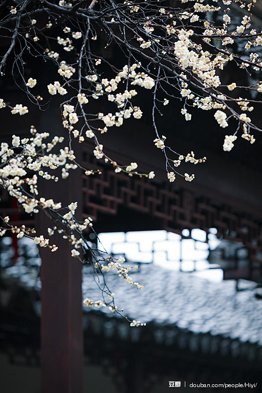 狮子林