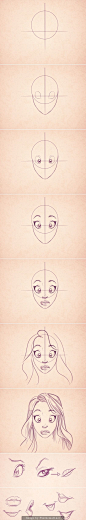 Cartoon Fundamentals: How to Draw the Female Form: 