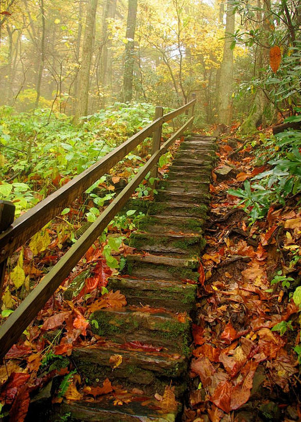 撩妹-实习生从月色溶溶蝴蝶梦转采于2016-09-28 15:03:16阶路风景
