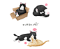 萌宠动物 可爱猫咪 黑猫 插图设计PSD_平面设计_绘画插图