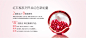 红石榴系列 | 雅诗兰黛(Estee Lauder)官方商城