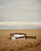 (56) Pinterest