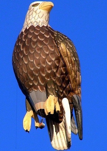 Eagle Balloon, Albuq...