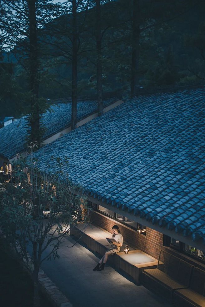 秦岭红叶房开售 | 一座座山间小屋，藏着...