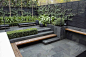 sunken courtyard garden  timber seat becomes step