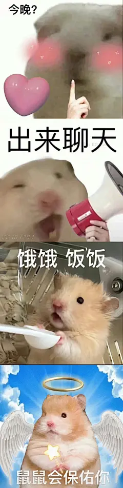 鼠鼠表情包