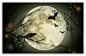 Halloween Moon HD wallpaper for Standard 4:3 5:4 Fullscreen UXGA XGA SVGA QSXGA SXGA ; Wide 16:10 5:3 Widescreen WHXGA WQXGA WUXGA WXGA WGA ; HD 16:9 High Definition WQHD QWXGA 1080p 900p 720p QHD nHD ; Other 3:2 DVGA HVGA HQVGA devices ( Apple PowerBook 