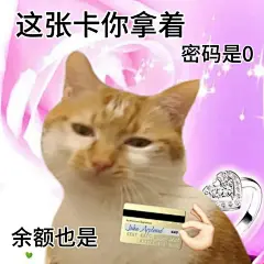 天赋型选手小猫表情包 - 小红书