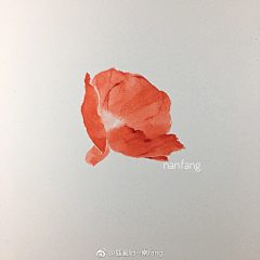 桃山采集到南fang