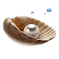 pearl 珍珠