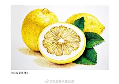 彩铅素材|水果
少儿美术超话教育超话#儿童创意美术#创意儿童画超话插画狂想超话#动漫##遇见艺术# ​​​​