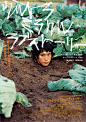 Japanese Movie Poster: Bare Essence of Life. 2009 | Gurafiku