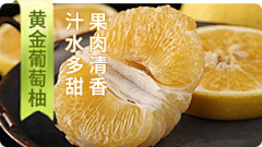 MDLRC采集到发现+品牌