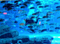 20120106_191501_副本.jpg