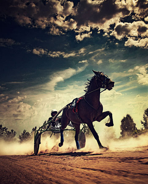 战马精品摄影大片2