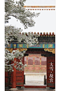 (6) Pinterest