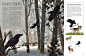 Bringing Back the Wolves : Visit the post for more.