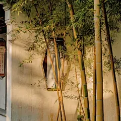 背景图 - 高清图片，堆糖，美图壁纸兴趣社区