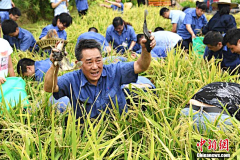 英里儁气采集到乡村振兴