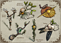 Item Cards: Druid Foci